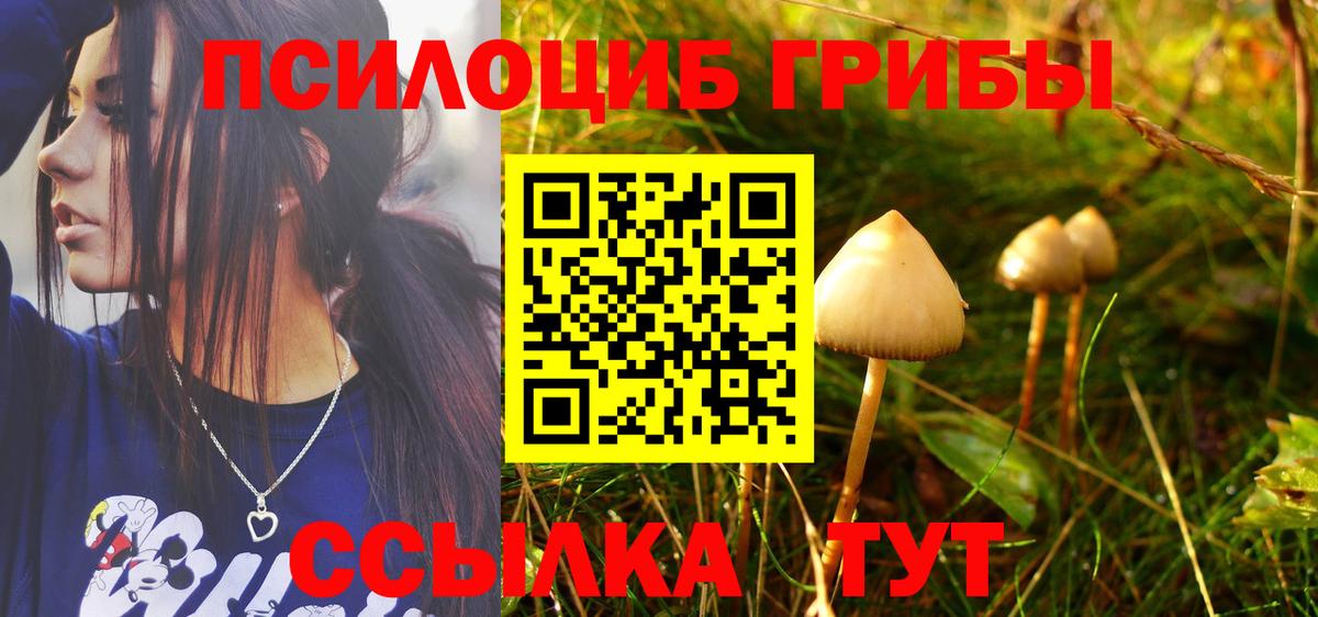 Галлюциногенные грибы Magic Shrooms  Вход с VPN  Нальчик 