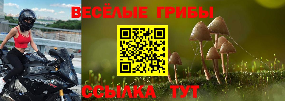 Псилоцибиновые грибы прущие грибы Нальчик